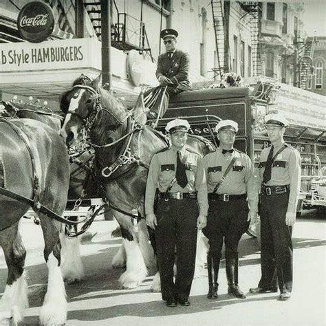 Apm Officers and Horses